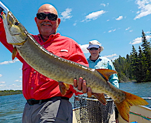 GREAT Muskie Catch Fishing by Donn at Fireside Lodge in Canada